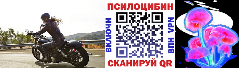 магазин    Кстово  Галлюциногенные грибы Psilocybine cubensis 