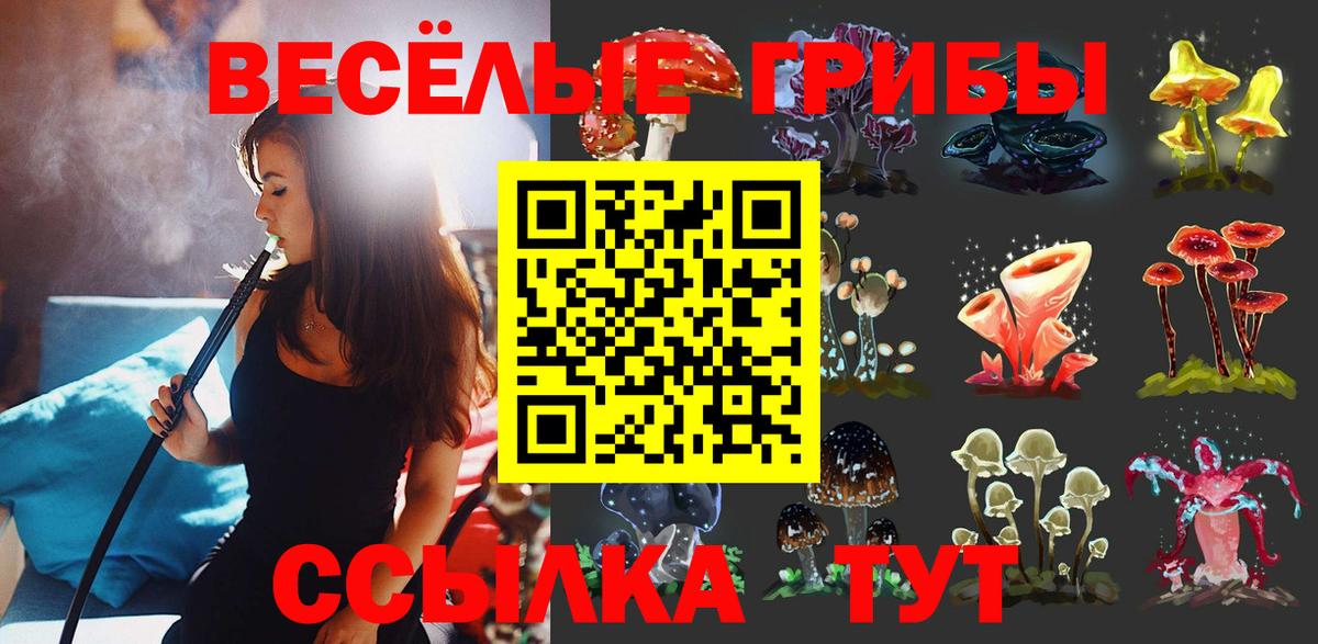 Кстово  Галлюциногенные грибы Cubensis  Вход с VPN 