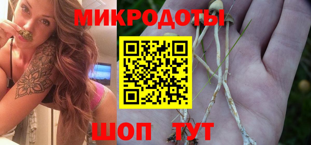 Галлюциногенные грибы GOLDEN TEACHER Кстово
